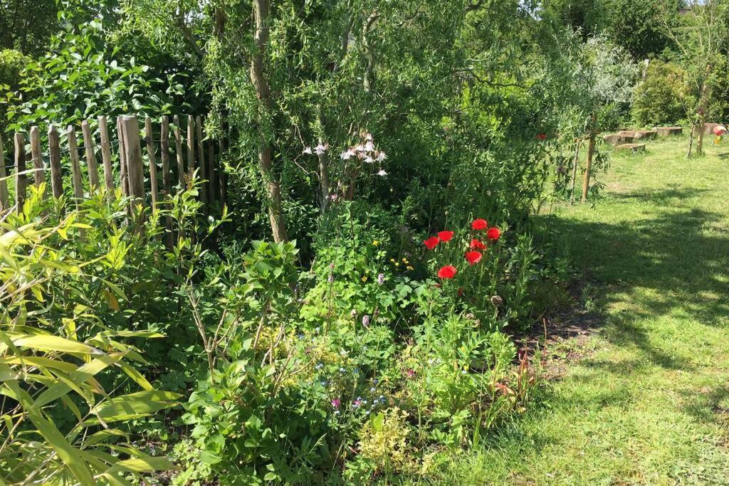 Unterkunft Am Hang Eutin Buitenkant foto